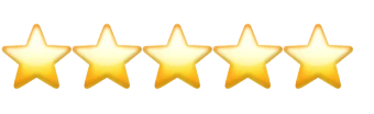 Rated 4.9 out of 5 stars